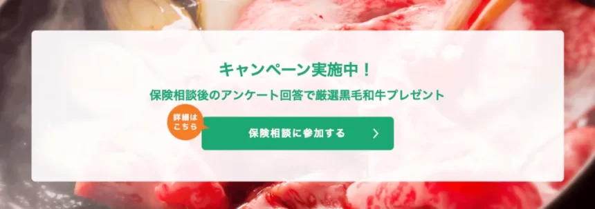 みんなの生命保険アドバイザー キャンペーン