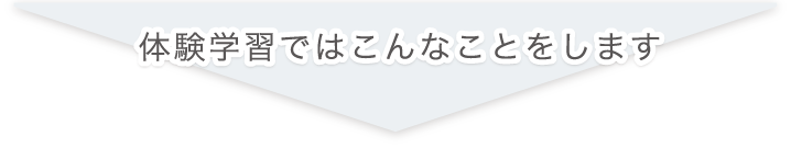体験学習ではこんなことをします
